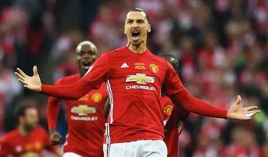 分别效力于 分别效力于